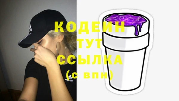 стаф Коряжма