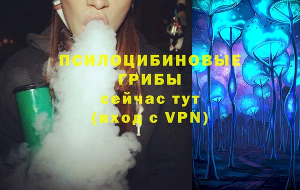 стаф Коряжма