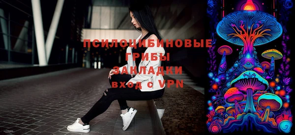 стаф Коряжма