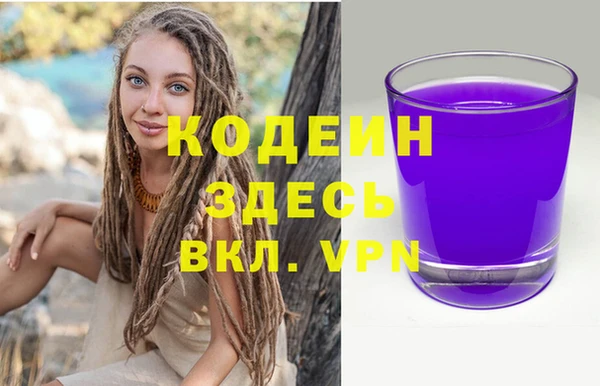 стаф Коряжма