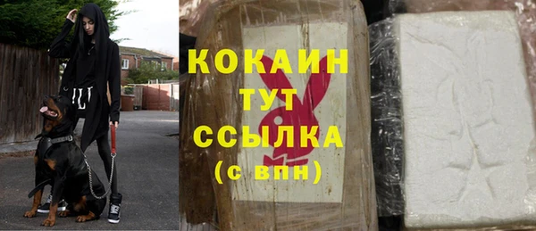 стаф Коряжма