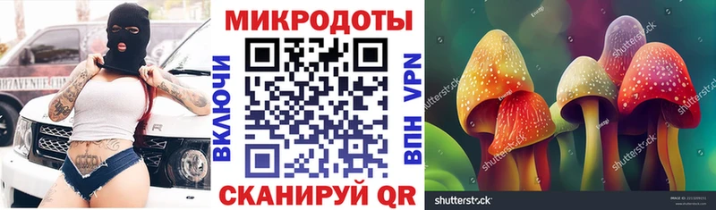 купить наркоту  Хасавюрт  Псилоцибиновые грибы GOLDEN TEACHER 