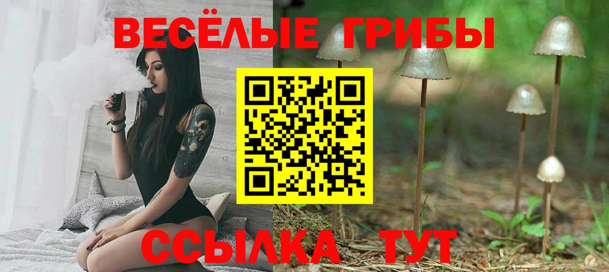даркнет сайт  Вход с VPN  Хасавюрт  Псилоцибиновые грибы Cubensis  Псилоцибиновые грибы MAGIC MUSHROOMS 