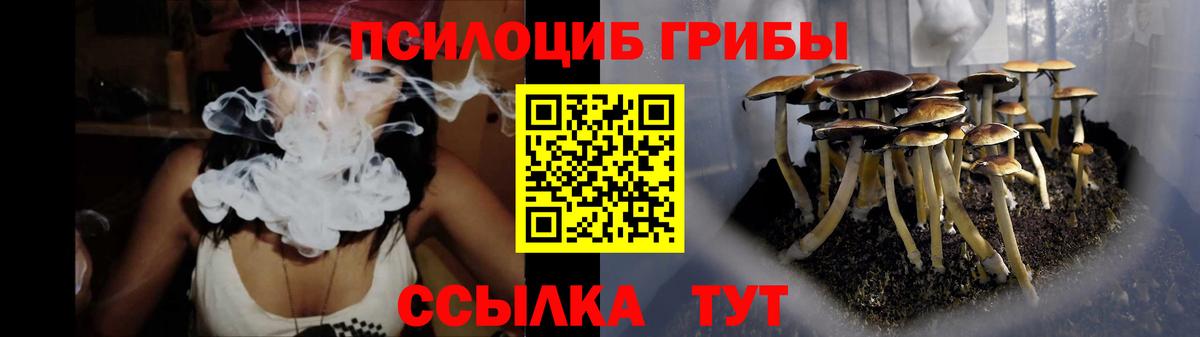 Псилоцибиновые грибы ЛСД Хасавюрт