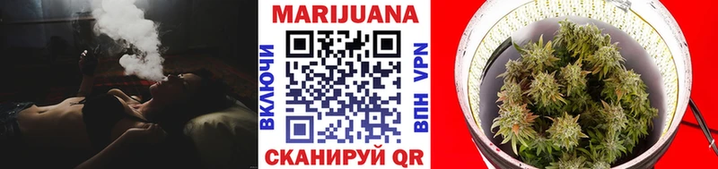 МАРИХУАНА сатива Хасавюрт